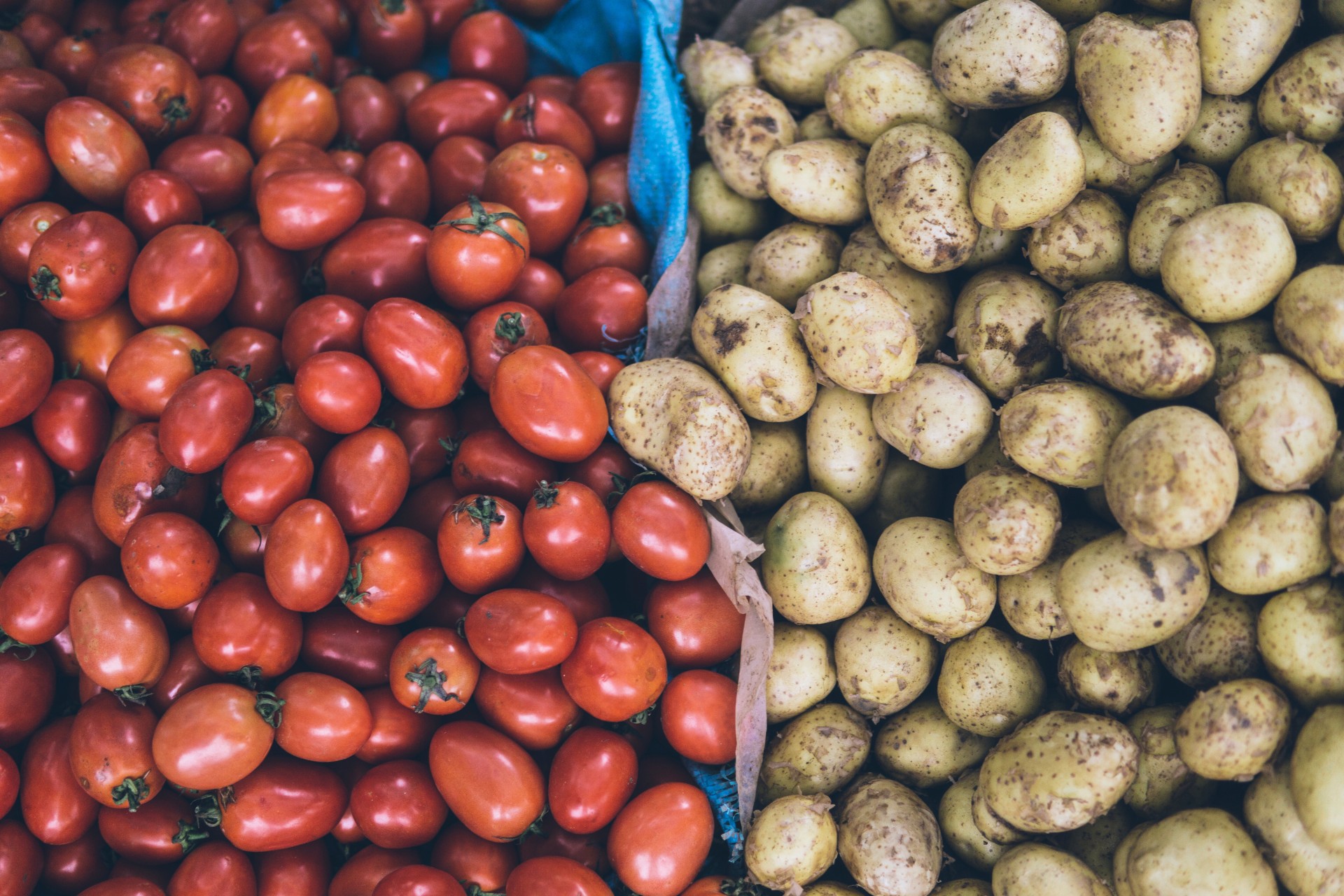 Ferias gastronómicas en Málaga 2017